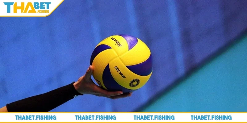 Cá độ bóng chuyền có các quy tắc chính mà thành viên cần ghi nhớ