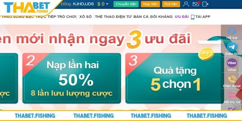 Tầm quan trọng của việc nạp tiền THABET 