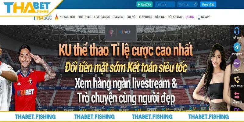 Những thắc mắc xoay quanh việc trải nghiệm đều được THABET giải đáp chi tiết