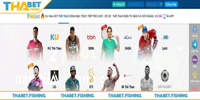 THABET hợp tác cùng nhà cung cấp uy tín mang đến nhiều sản phẩm chất lượng